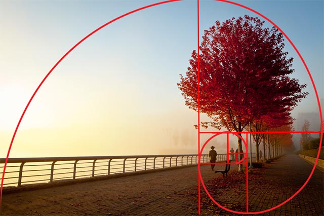 Photo couleur d'un paysage urbain avec des arbres et des bancs et composée en utilisant le nombre d'or