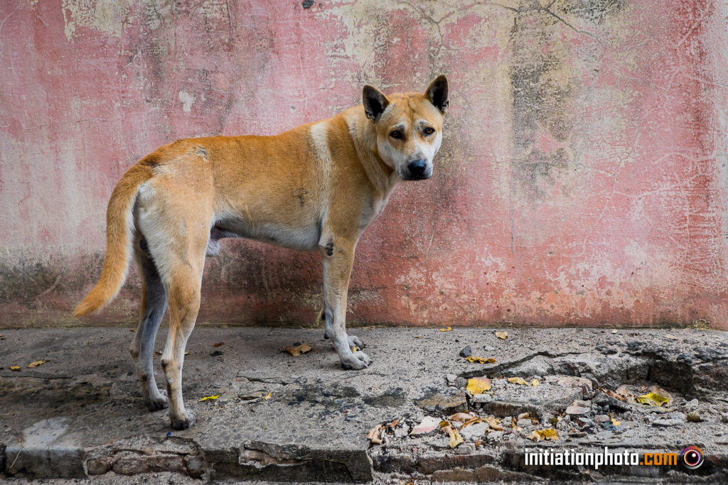 Auto-critique en photo - Le Sujet