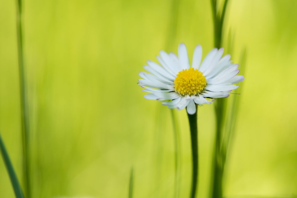 initiationphoto - photo proxi